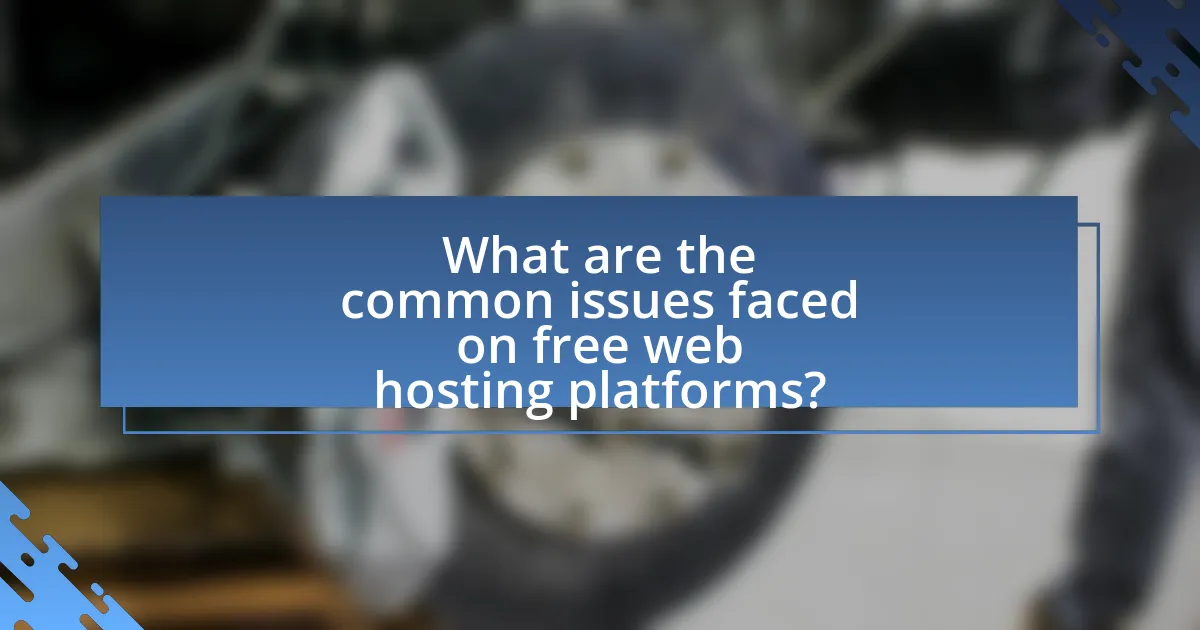 What are the common issues faced on free web hosting platforms?